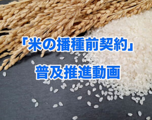 生産者・集出荷業者向け「米の播種前契約」普及推進動画を制作しました。